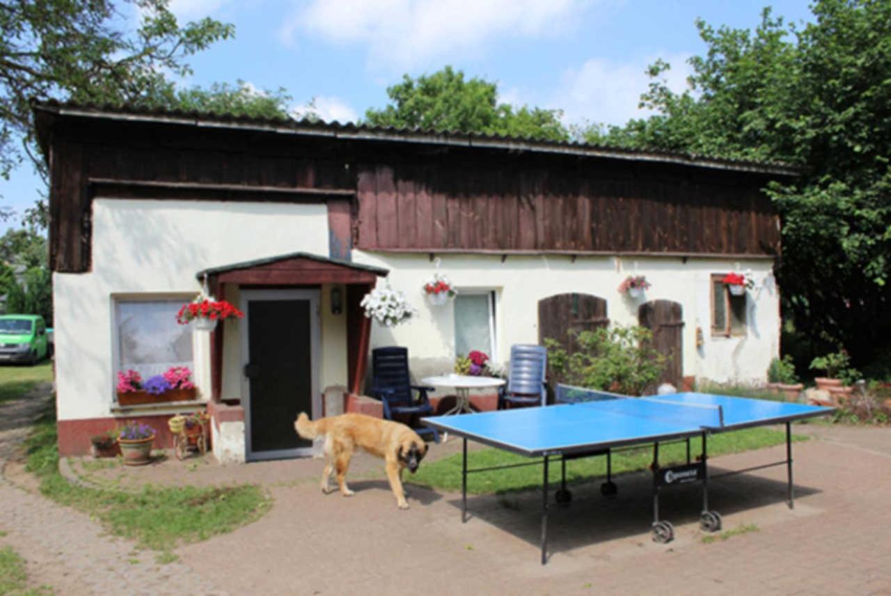 Heidi Apartamento Zinnowitz Exterior foto